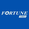 FORTUNE L185 R14C FSR01 102/100Q