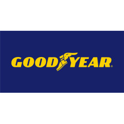 GOOD-YEAR L215/65 R15C EFFICIENTGRIP CARGO 104T