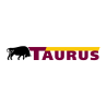 TAURUS 710/70R38 POINT HP 171A8 DOT2020